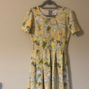 Lularoe Amelia Pocket Dress
